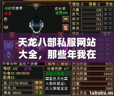 天龙八部私服网站大全，那些年我在游戏里踩过的坑与摸出的野路子天龙私服