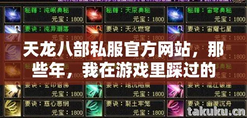 天龙八部私服官方网站，那些年，我在游戏里踩过的坑与摸出的野路子天龙私服