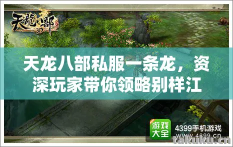 天龙八部私服一条龙，资深玩家带你领略别样江湖路天龙八部私服