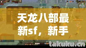 隐藏玩法大揭秘天龙私服图片