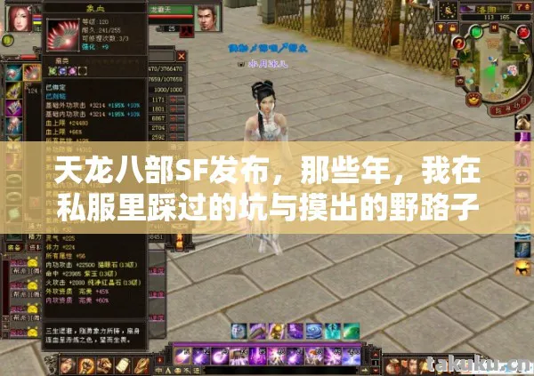 我在私服里踩过的坑与摸出的野路子天龙八部私服图片