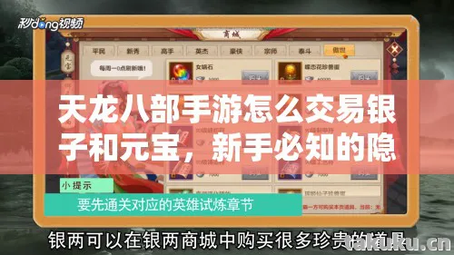 新手必知的隐藏玩法大揭秘天龙私服图片