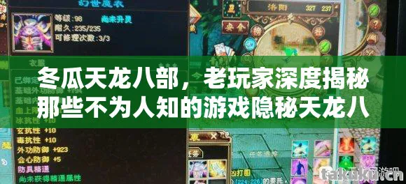 冬瓜天龙八部,老玩家深度揭秘那些不为人知的游戏隐秘天龙八部私服 冬瓜天龙八部,老玩家深度揭秘那些不为人知的游戏隐秘天龙八部私服