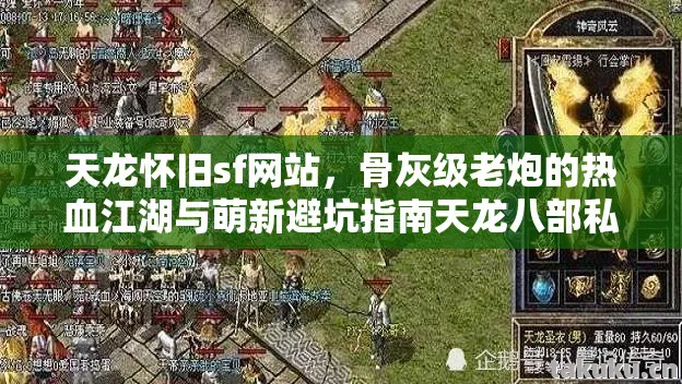 骨灰级老炮的热血江湖与萌新避坑指南天龙八部私服图片