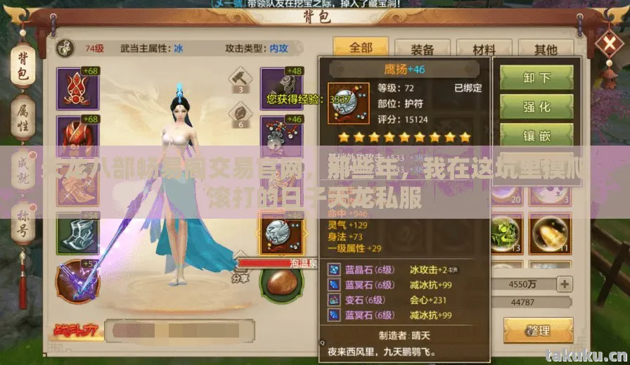 天龙八部畅易阁交易官网，那些年，我在这坑里摸爬滚打的日子天龙私服