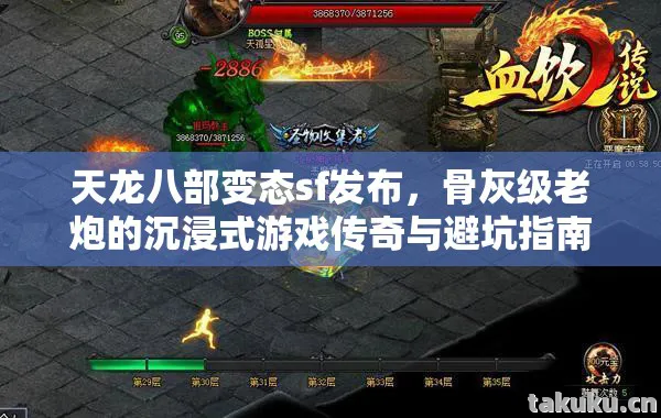 骨灰级老炮的沉浸式游戏传奇与避坑指南天龙私服图片