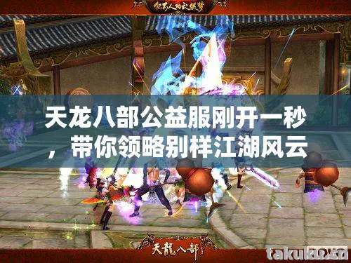 天龙八部公益服刚开一秒,带你领略别样江湖风云天龙八部私服 天龙八部公益服刚开一秒,带你领略别样江湖风云天龙八部私服
