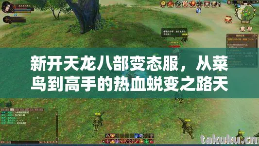 从菜鸟到高手的热血蜕变之路天龙私服图片