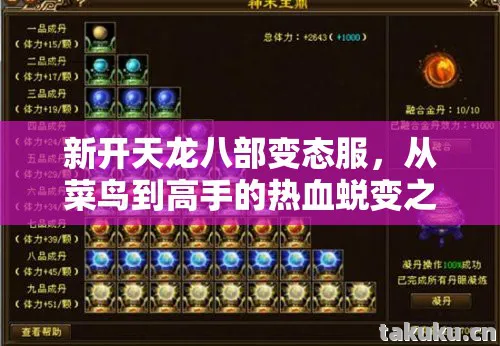 新开天龙八部变态服,从菜鸟到高手的热血蜕变之路天龙私服 新开天龙八部变态服,从菜鸟到高手的热血蜕变之路天龙私服