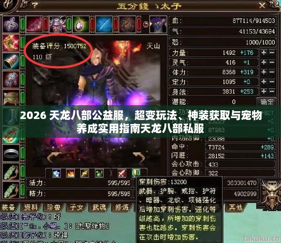 神装获取与宠物养成实用指南天龙八部私服图片