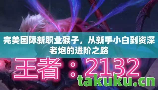 从新手小白到资深老炮的进阶之路图片
