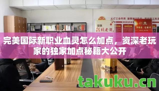 资深老玩家的独家加点秘籍大公开图片