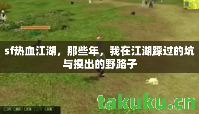 我在江湖踩过的坑与摸出的野路子图片