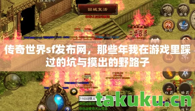 那些年我在游戏里踩过的坑与摸出的野路子图片