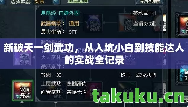 从入坑小白到技能达人的实战全记录图片