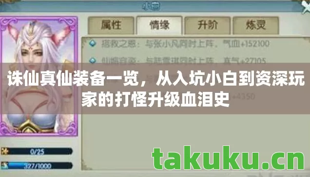 诛仙真仙装备一览,从入坑小白到资深玩家的打怪升级血泪史 诛仙真仙装备一览,从入坑小白到资深玩家的打怪升级血泪史