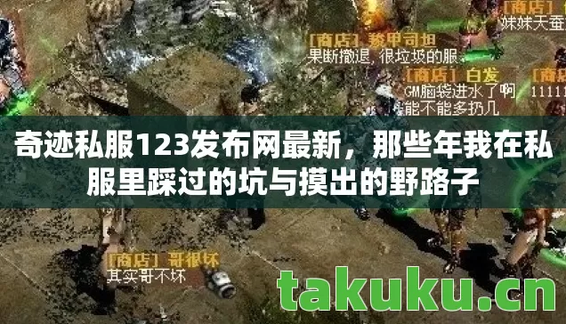 那些年我在私服里踩过的坑与摸出的野路子图片