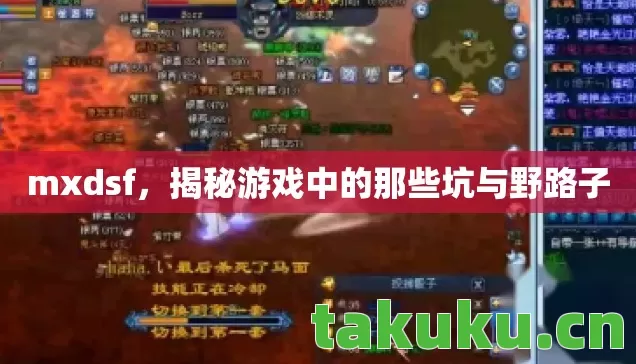 揭秘游戏中的那些坑与野路子图片
