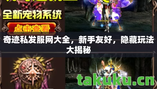 奇迹私发服网大全图片