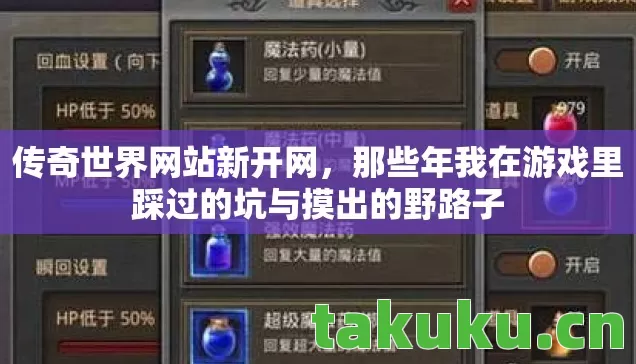 那些年我在游戏里踩过的坑与摸出的野路子图片