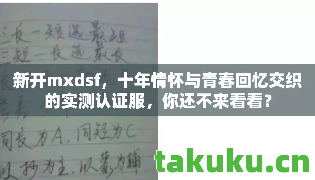 十年情怀与青春回忆交织的实测认证服图片
