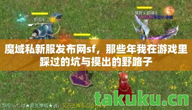 那些年我在游戏里踩过的坑与摸出的野路子图片
