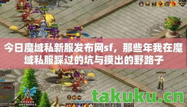 那些年我在魔域私服踩过的坑与摸出的野路子图片