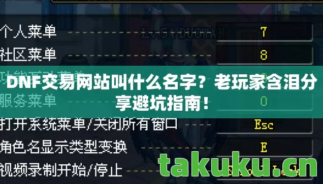 DNF交易网站叫什么名字图片