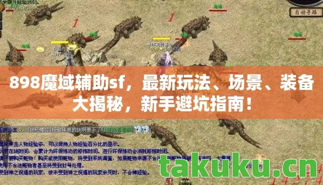 898魔域辅助sf图片