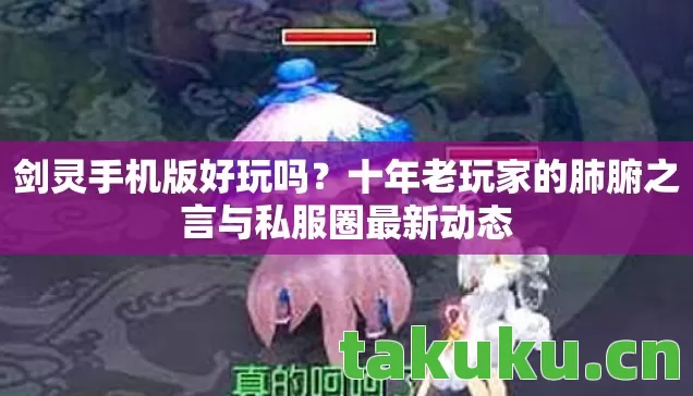 十年老玩家的肺腑之言与私服圈最新动态图片