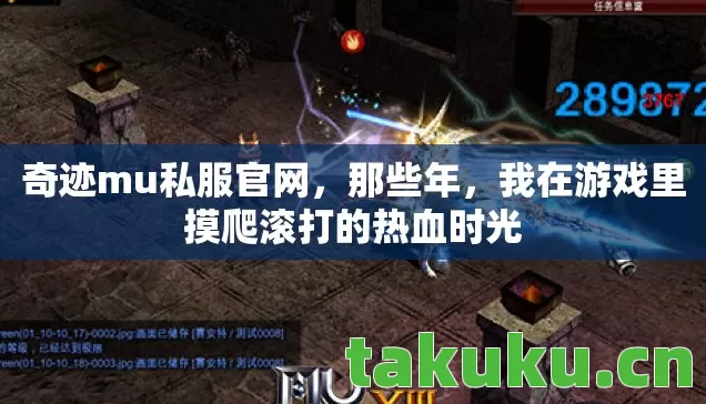我在游戏里摸爬滚打的热血时光图片