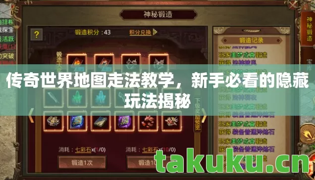 新手必看的隐藏玩法揭秘图片