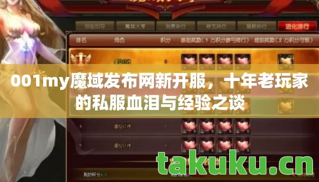 十年老玩家的私服血泪与经验之谈图片