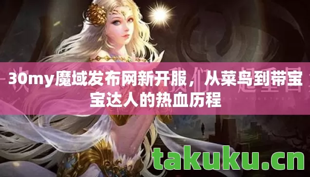 从菜鸟到带宝宝达人的热血历程图片