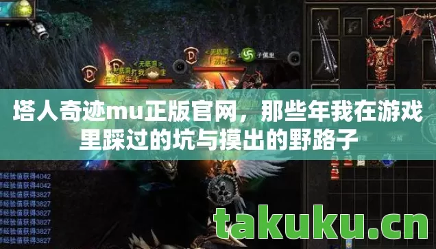 那些年我在游戏里踩过的坑与摸出的野路子图片