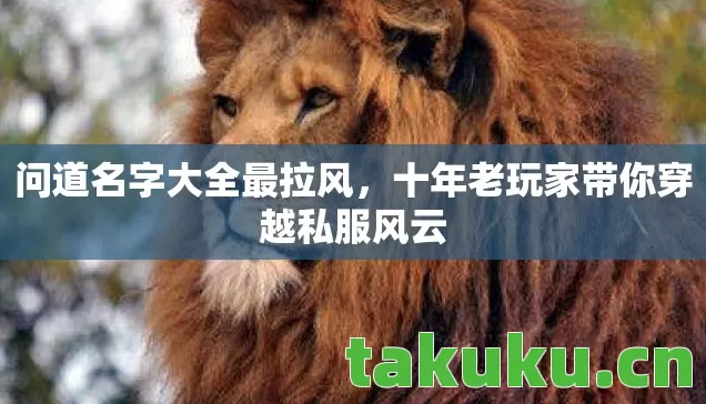 十年老玩家带你穿越私服风云图片