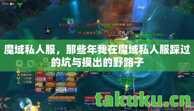 那些年我在魔域私人服踩过的坑与摸出的野路子图片