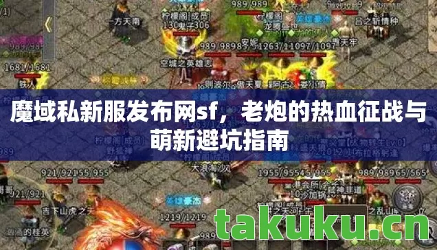 老炮的热血征战与萌新避坑指南图片
