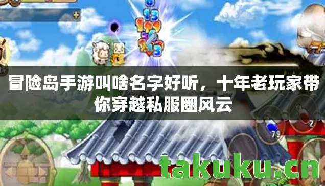 十年老玩家带你穿越私服圈风云图片