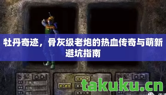 骨灰级老炮的热血传奇与萌新避坑指南图片