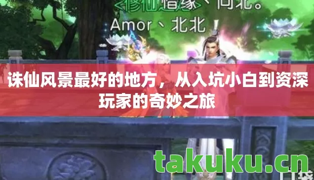 从入坑小白到资深玩家的奇妙之旅图片