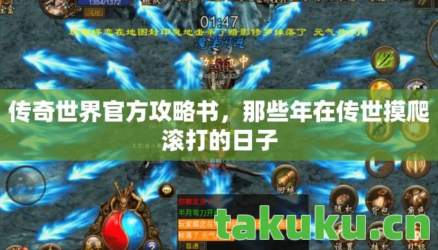 那些年在传世摸爬滚打的日子图片