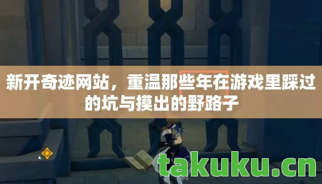 重温那些年在游戏里踩过的坑与摸出的野路子图片