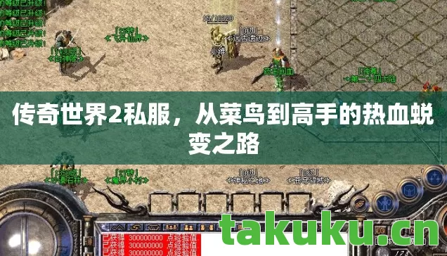 从菜鸟到高手的热血蜕变之路图片