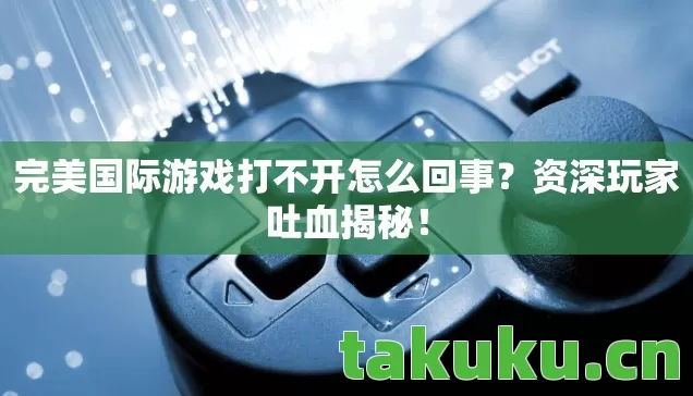 完美国际游戏打不开怎么回事图片