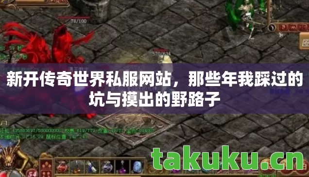 那些年我踩过的坑与摸出的野路子图片