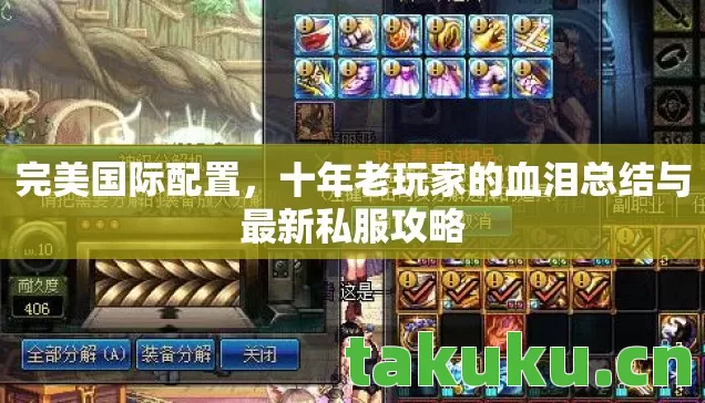 十年老玩家的血泪总结与最新私服攻略图片