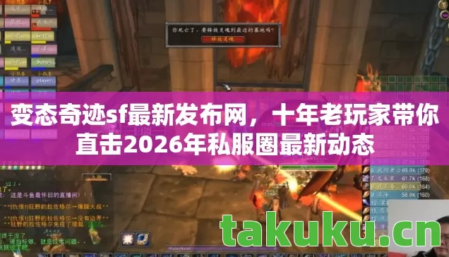 十年老玩家带你直击2026年私服圈最新动态图片