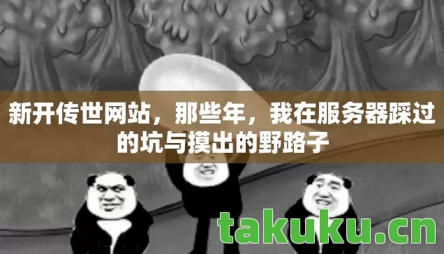 我在服务器踩过的坑与摸出的野路子图片