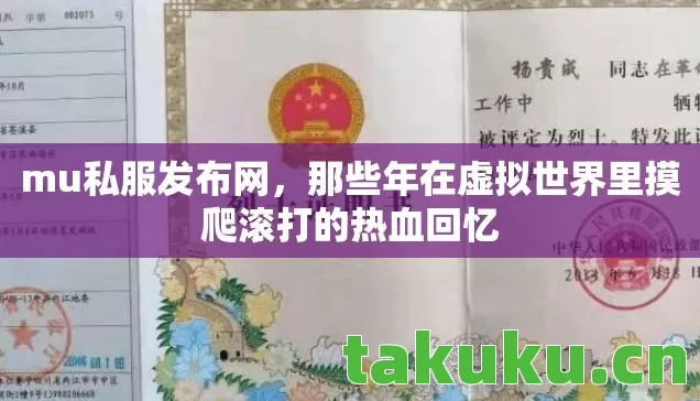 那些年在虚拟世界里摸爬滚打的热血回忆图片
